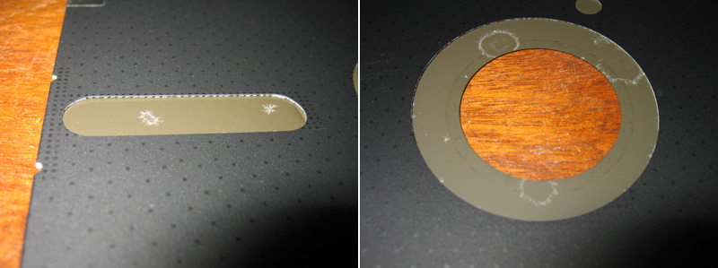 fungal colonies on an 8 inch floppy